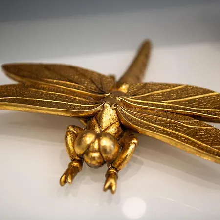 Confortable T2 Vue Avec Terrasse Amenagee Et Parking Prive, Et Port A Pied