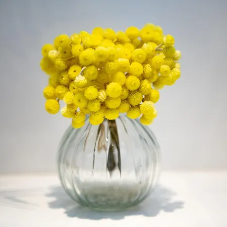 Confortable T2 Vue Avec Terrasse Amenagee Et Parking Prive, Et Port A Pied Apartment