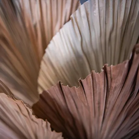 Confortable T2 Vue Avec Terrasse Amenagee Et Parking Prive, Et Port A Pied *